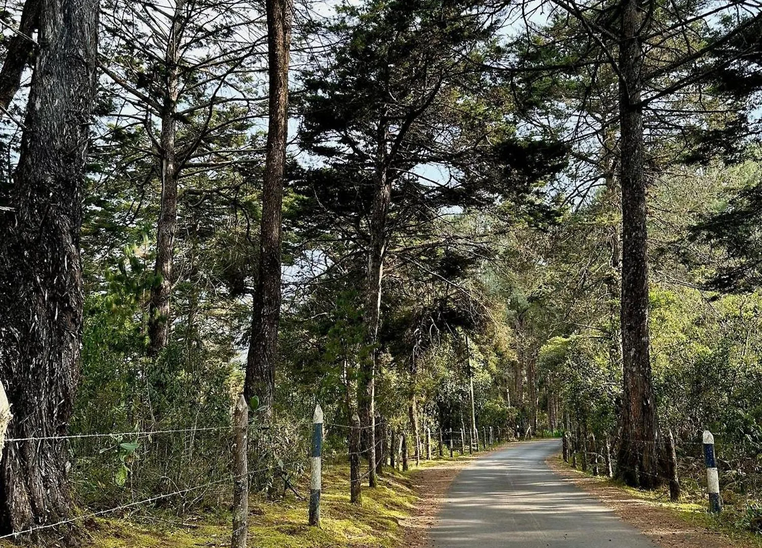 Santaelena Cielo - Retiro Natural Cerca Al Parque Arvi Wi-Fi Starlink Medellin Holiday home